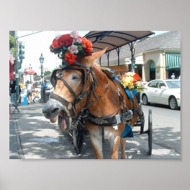 Mullskjuts Poster (Framsidan)