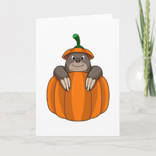Mullvad med pumpa kort