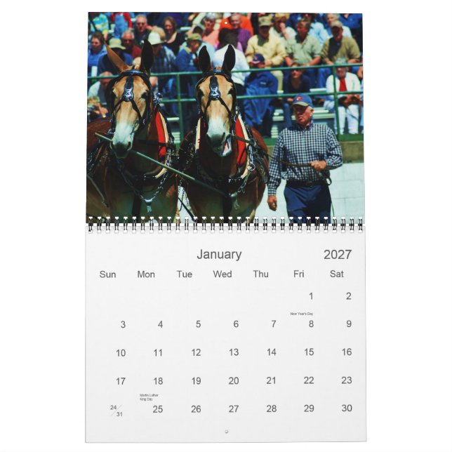mulor och åsnor kalender (Jan 2027)