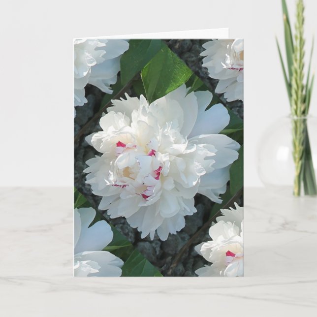 Multi Precious Peony Hälsning och/eller Note Card Kort (Framsida)