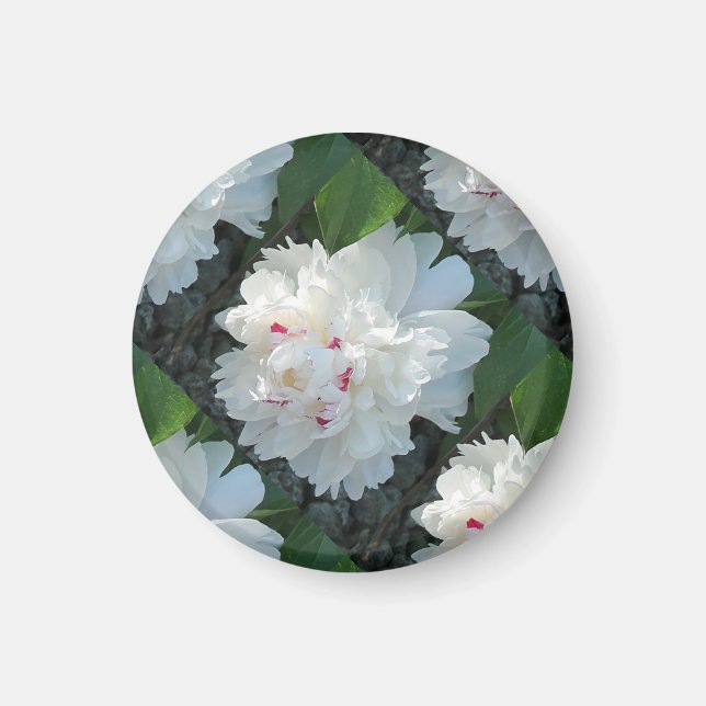 Multi Precious Peony Magnet (Framsidan)