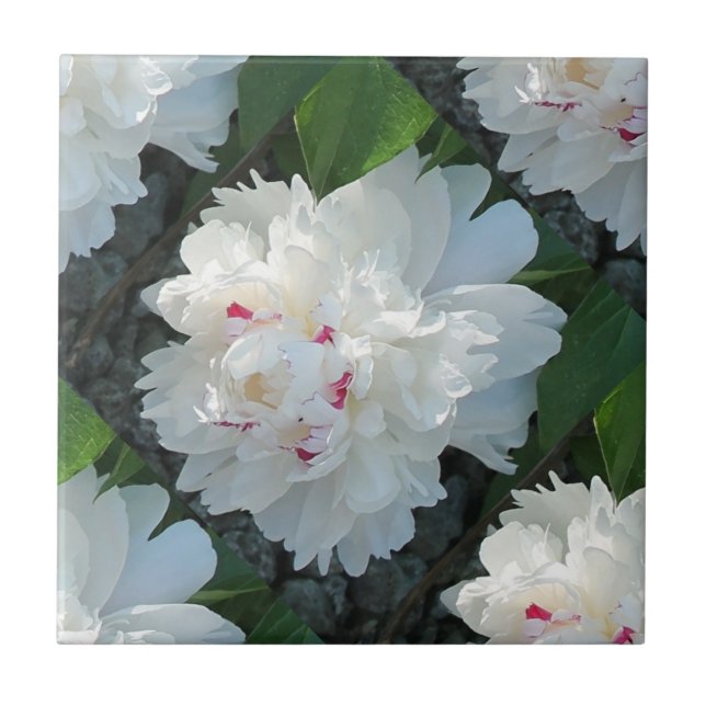 Multi Precious Peony Tile Kakelplatta (Framsidan)