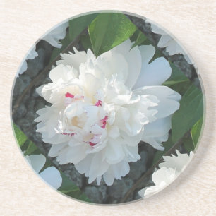 Multi Precious Peony Underlägg Sandsten