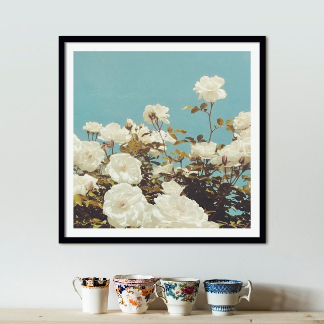 Multi Roses Floral Garden Photo Art Print Poster (Skapare uppladdad)