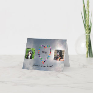 Multifärgad Hund Skriv ut pulversympati Kort