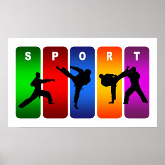 Multifärgad Karate Emblem Poster