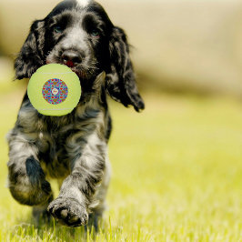 Multifärgad, ögonglobskollage, färgad