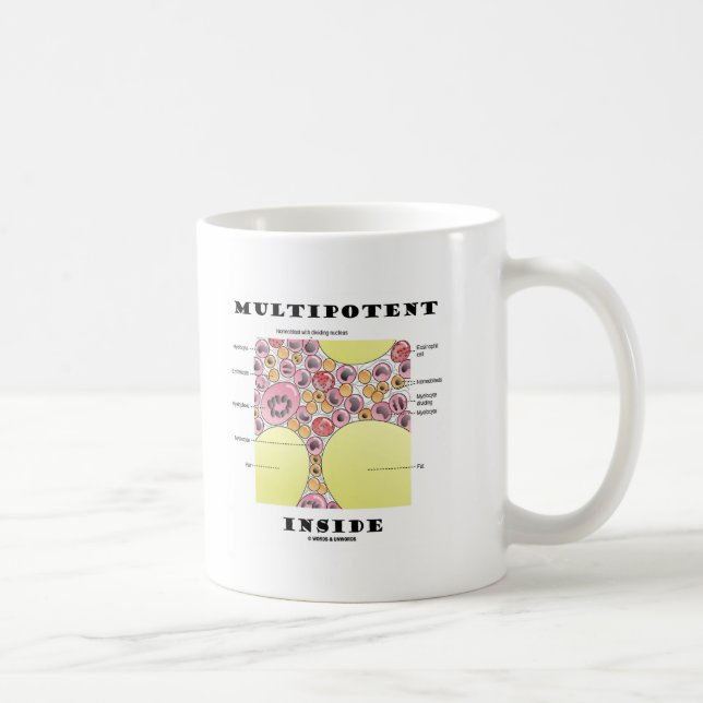 Multipotent insida (blodcellsbildning Humor) Kaffemugg (Höger)
