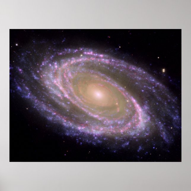 Multivåglängd M81 Poster (Framsidan)