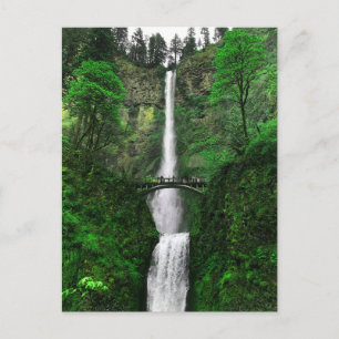 Multnomah Falls #2-2-vykort Vykort