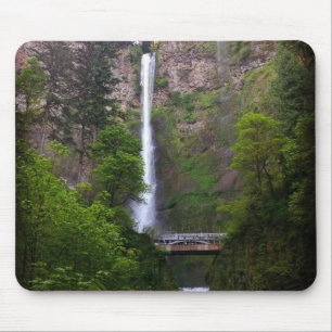 Multnomah Falls Bridge Repair, ELLER Musmatta