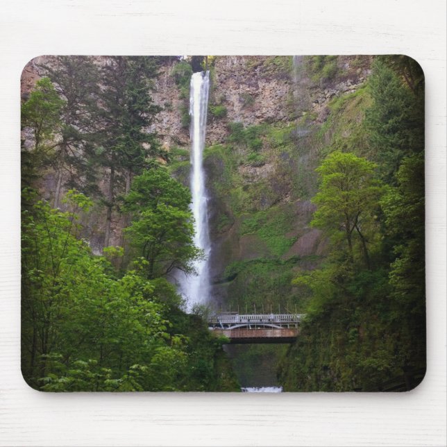 Multnomah Falls Bridge Repair, ELLER Musmatta (Framsidan)