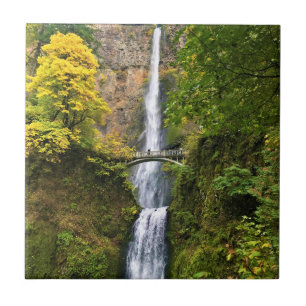 Multnomah Falls, Columbia River Gorge, Oregon Kakelplatta