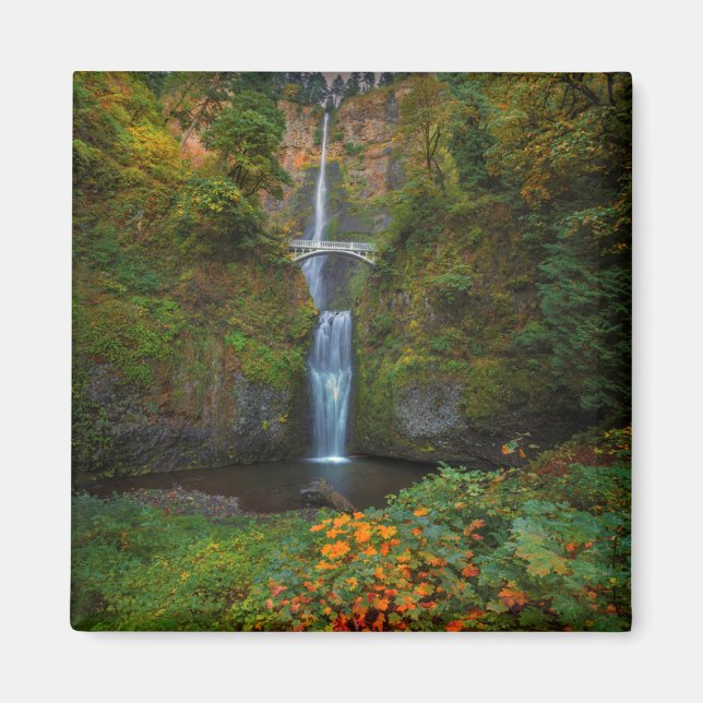 Multnomah Falls | Columbia River Gorge, Oregon Magnet (Framsidan)