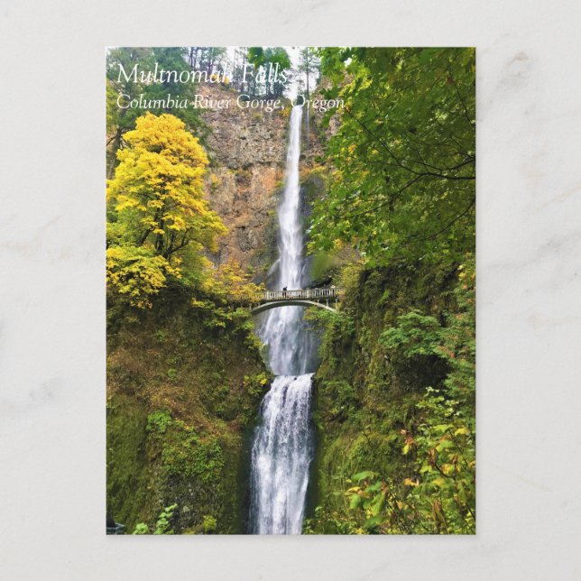 Multnomah Falls, Columbia River Gorge, Oregon Post Vykort (Framsida)