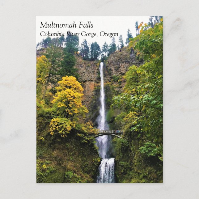 Multnomah Falls, Columbia River Gorge, Oregon Post Vykort (Framsida)