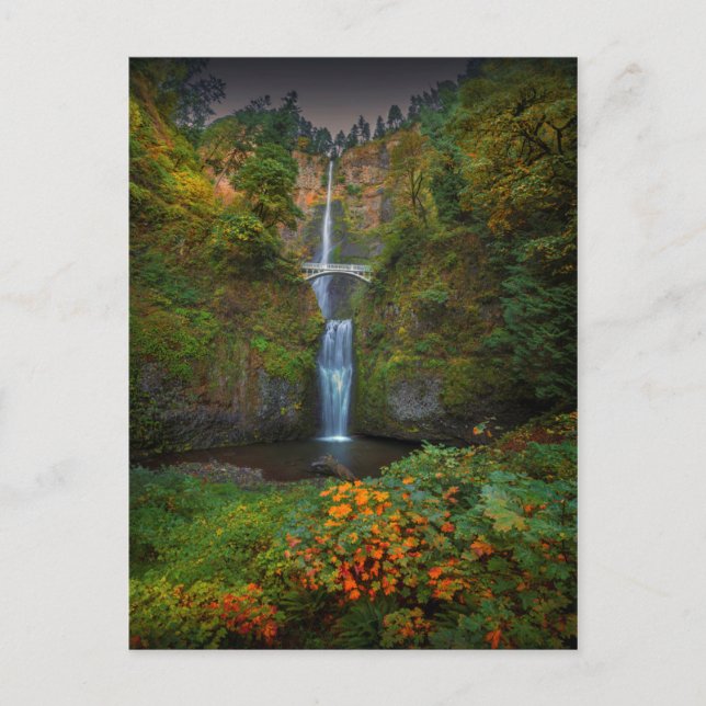 Multnomah Falls | Columbia River Gorge, Oregon Vykort (Framsida)