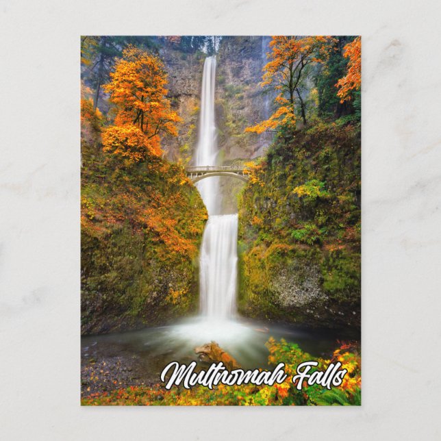 Multnomah Falls, Columbia River Gorge, Oregon Vykort (Framsida)
