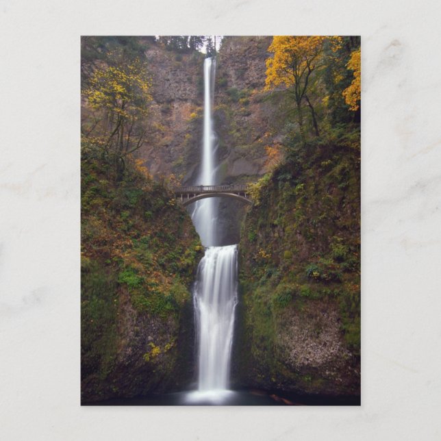 Multnomah Falls i slutet av hösten Vykort (Framsida)