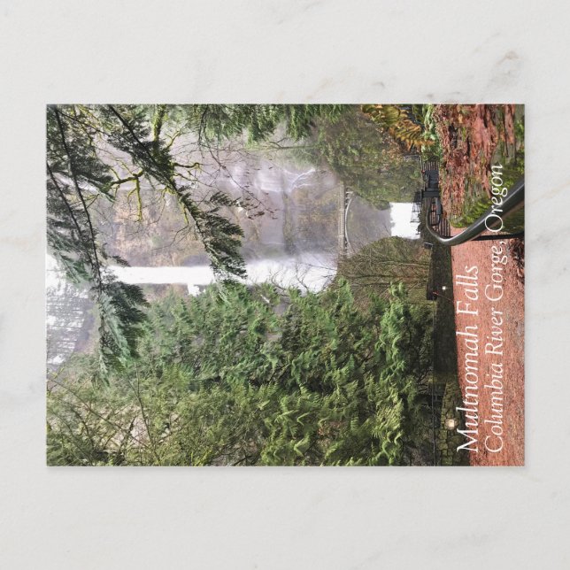 Multnomah Falls, Oregon Vykort (Framsida)