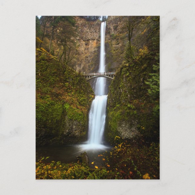 Multnomah Falls ・ Oregon-vykort Vykort (Framsida)