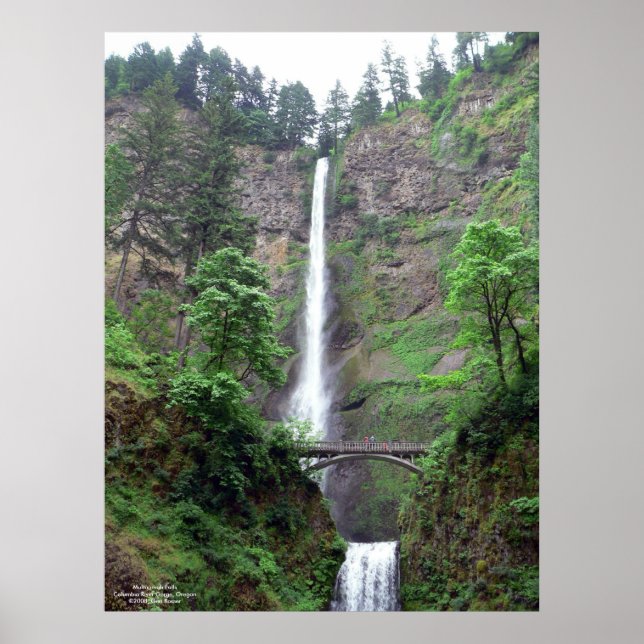 Multnomah Falls Poster (Framsidan)