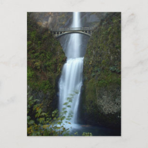 Multnomah Falls Vykort