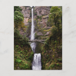Multnomah Falls Vykort