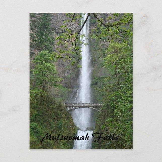 Multnomah Falls Vykort (Framsida)