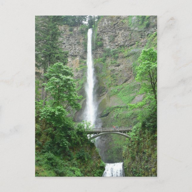 Multnomah Falls-vykort Vykort (Framsida)