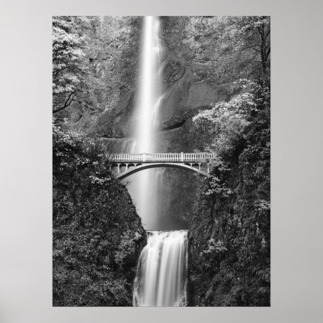 Multnomah Falls Waterfall med Benson Bridge Poster (Framsidan)
