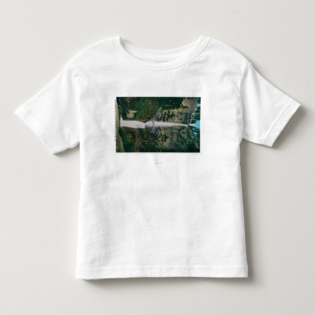 Multnomah nedgångar och den Benson foten T Shirt (Framsida)
