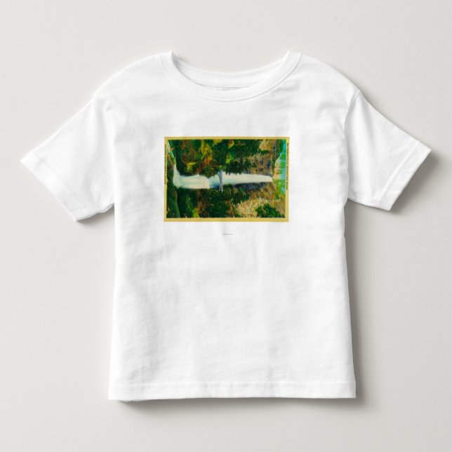 Multnomah nedgångar och den Benson foten Tee Shirt (Framsida)
