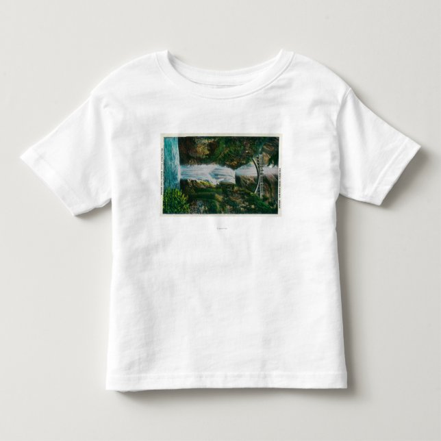 Multnomah nedgångar på Columbia River T-shirt (Framsida)