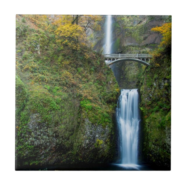 Multnomahfallen på hösten i Columbia Gorge Kakelplatta (Framsidan)