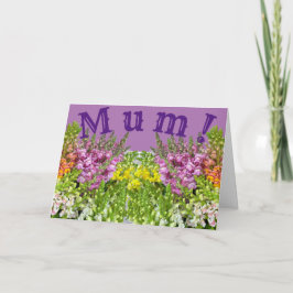 MUM! Kort