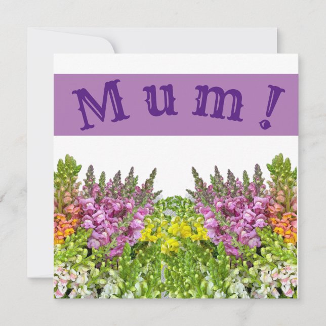 MUM! Kort (Framsida)