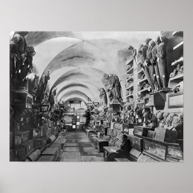 Mummier av katacomb i Palermo, Italien Poster (Framsidan)