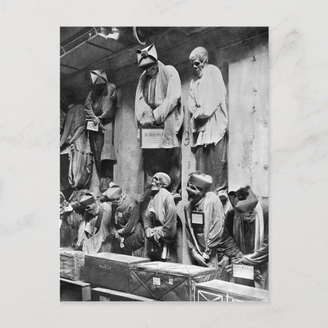 Mummier av katacomb i Palermo, Italien Vykort (Framsida)