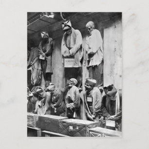 Mummier av katacomb i Palermo, Italien Vykort