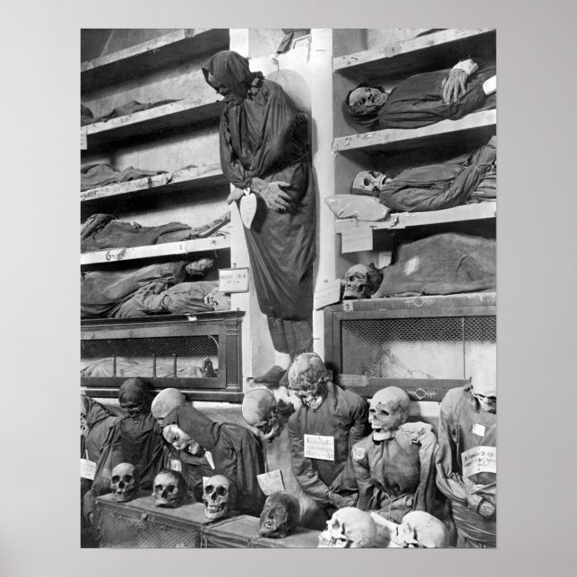 Mummier i Palermo catacombs, Italien Poster (Framsidan)
