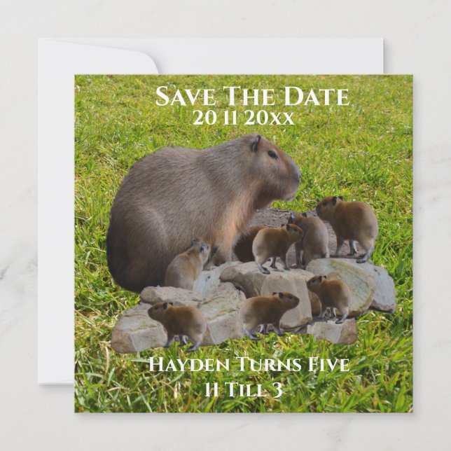 Mummy and Baby Capybaras, spara datum Datumet (Framsida)