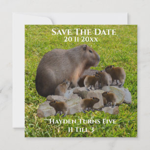 Mummy and Baby Capybaras, spara datum Datumet