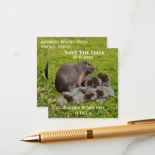 Mummy and Baby Capybaras, spara datum Tilläggskort