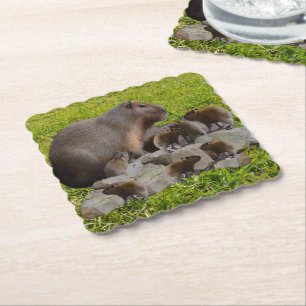 Mummy and Baby Capybaras Underlägg Papper
