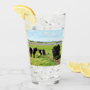Mummy and Baby Galloway Cow, Drink Glass Glaskopp