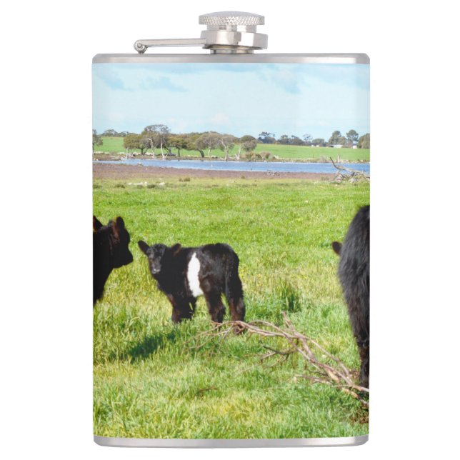 Mummy and Baby Galloway Cow, Hip Flask Fickplunta (Framsidan)