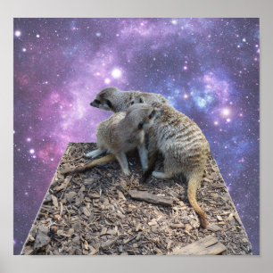 Mummy and Valp Meerkat Poster