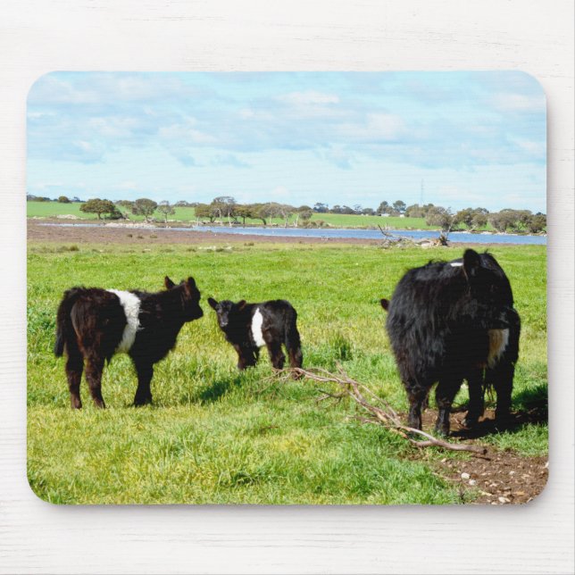 Mummy- och Baby-galgkor, mysepad Musmatta (Framsidan)