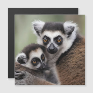 Mummy och Baby Lemur som har en klump.
